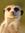 Mar345