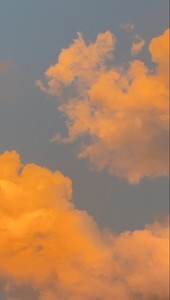 bblonfire