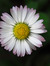 Karine DS
