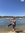 sydney