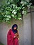 Tahira Yasmeen