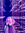 Judy | 5 comments