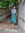 Josselyn
