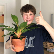 Lukas Kristensen