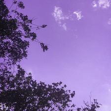 MUHAMMAD HAKIMI ABDUL WAHAB