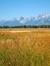 Hadley ...