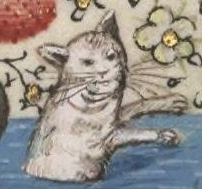 Khajiit J'jirra Roudhari