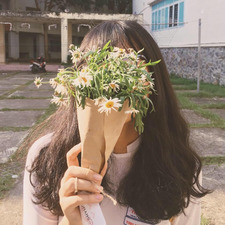 Hà Phan