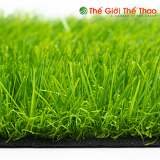 Cỏ nhân tạo  TheGioiTheThao