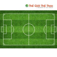 Sân bóng  TheGioiTheThao