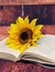 Book Smith