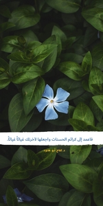 زينب  مأمون