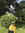 member photo member photo