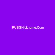PUBG Nickname