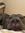 Margo
