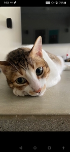 Aishwarya Raghuvanshi