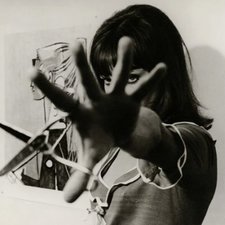 catarina