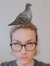 Hanne H...