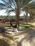 Oussama