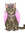 Kitten Bell