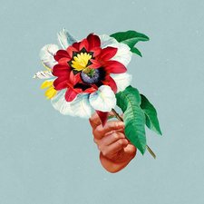Joshua Yetter