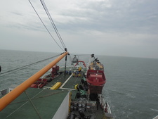 кирил янков