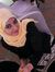 Kholoud...