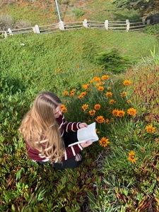 Sofía Laprida Sepulveda