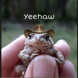 Hannix