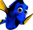 Samy