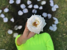 Rawan Abbas