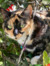 Eleanor