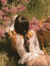 Aastha