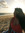 Risse | 1 comments