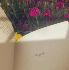 Aaliyah ( Taylor’s version )