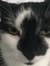 Eleanor