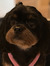 Molly