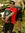 Aaron