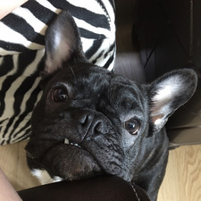 Samantha