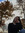 Reina | 1 comments