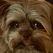 Fiona Barnhart Assad