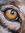 Eduardo Remolins | 14 comments