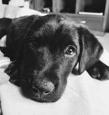 Sofía Fernández Long