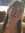Meghan Wilson | 1 comments