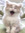 abby | 1 comments