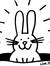 Rabbit ...