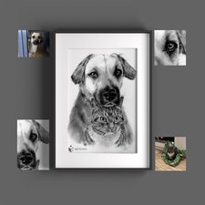 Tierportraits  Sketchus