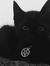 Darck