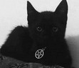 Darck