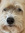Sofie